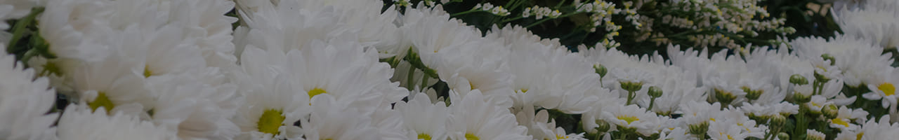 小規模な家族葬